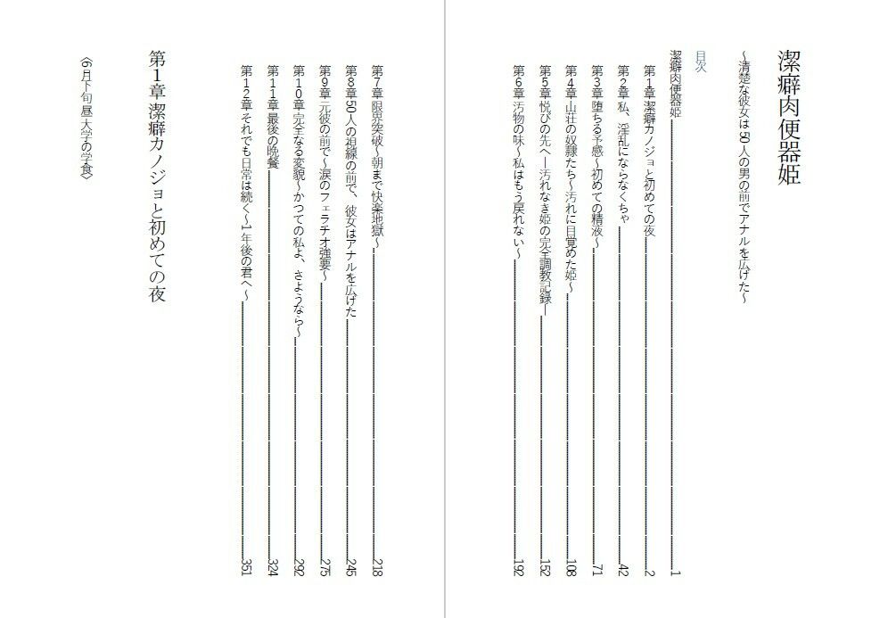 潔癖肉便器姫〜清楚な彼女は50人の男の前でアナルを広げた〜 - サンプル画像 1