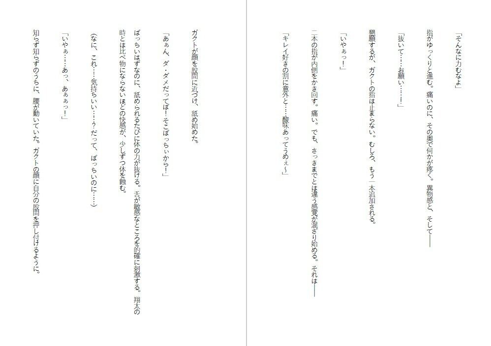 潔癖肉便器姫〜清楚な彼女は50人の男の前でアナルを広げた〜 - サンプル画像 3