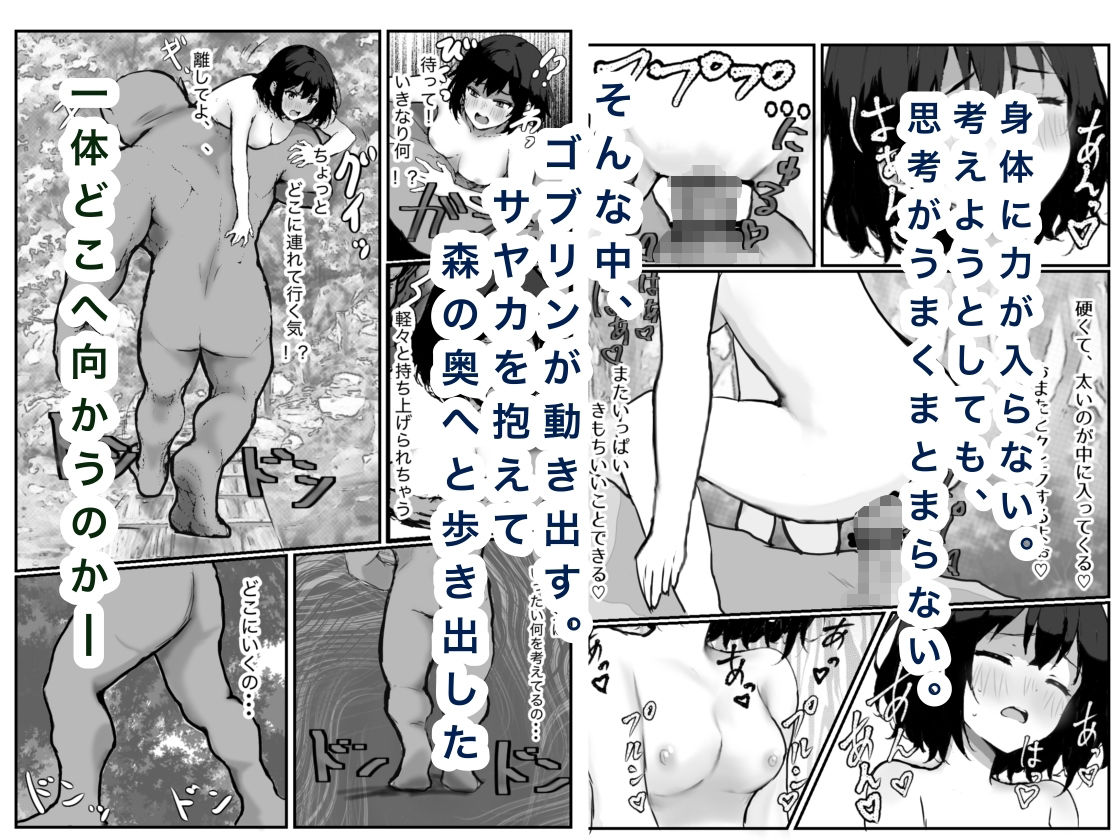 女騎士敗北録〜ゴブリンの森〜2 後編 - サンプル画像 3