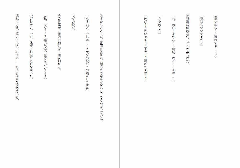 肉便器法〜Sランク肉便器になるまで〜 - サンプル画像 3
