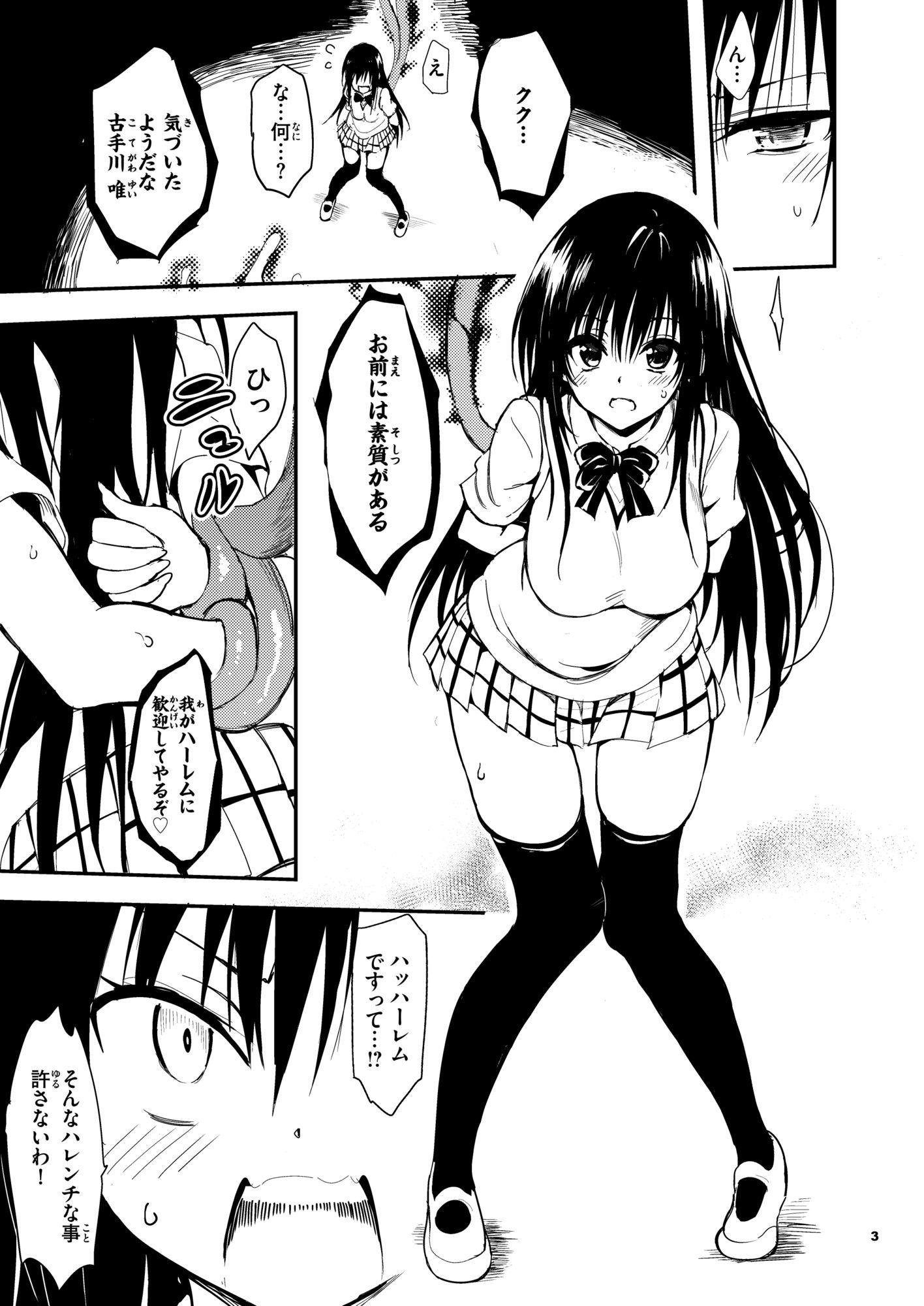 ハレンチ教育 - サンプル画像 1
