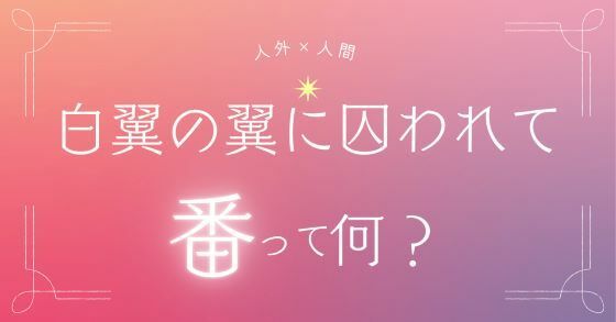 白翼の番に囚われて