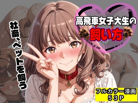 高飛車女子大生の飼い方