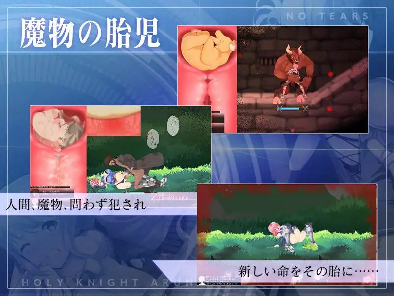 聖騎士アルネと魔孕の呪印〜Another No Tears〜 - サンプル画像 4