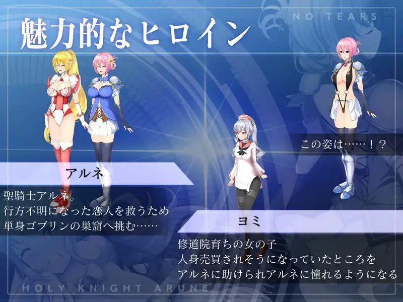 聖騎士アルネと魔孕の呪印〜Another No Tears〜 - サンプル画像 5