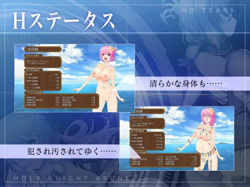 聖騎士アルネと魔孕の呪印〜Another No Tears〜 - サンプル画像 6