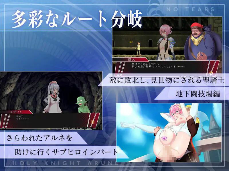 聖騎士アルネと魔孕の呪印〜Another No Tears〜 - サンプル画像 9