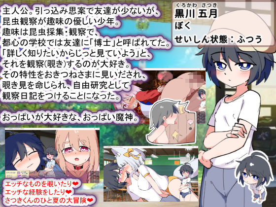 おきつねさまとおねショタ夏日記W――ダブルお姉ちゃんとひみつののぞき穴 - サンプル画像 6