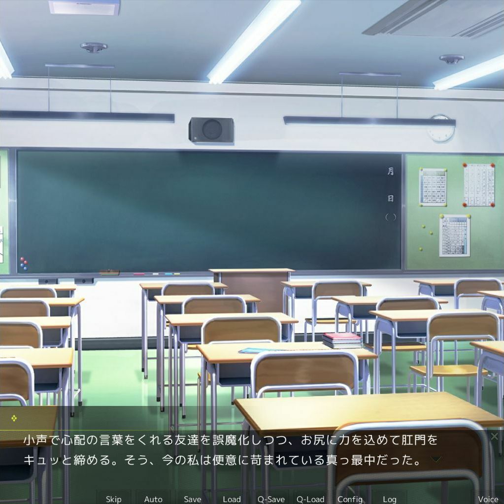 スカトロ趣味の彼女達3 - サンプル画像 4