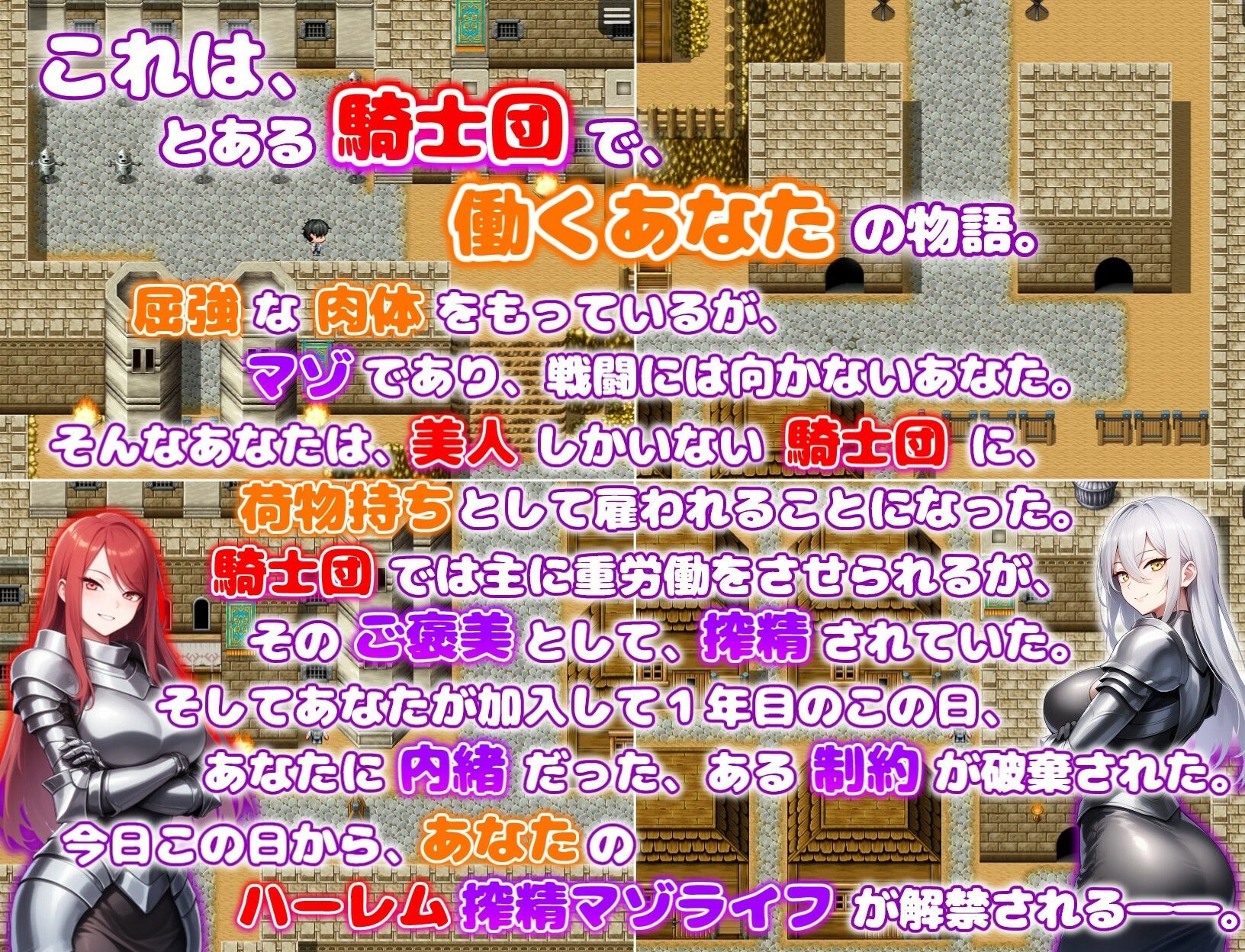 痴女騎士団の荷物持ち  ハーレム×イチャラブ×搾精 - サンプル画像 1