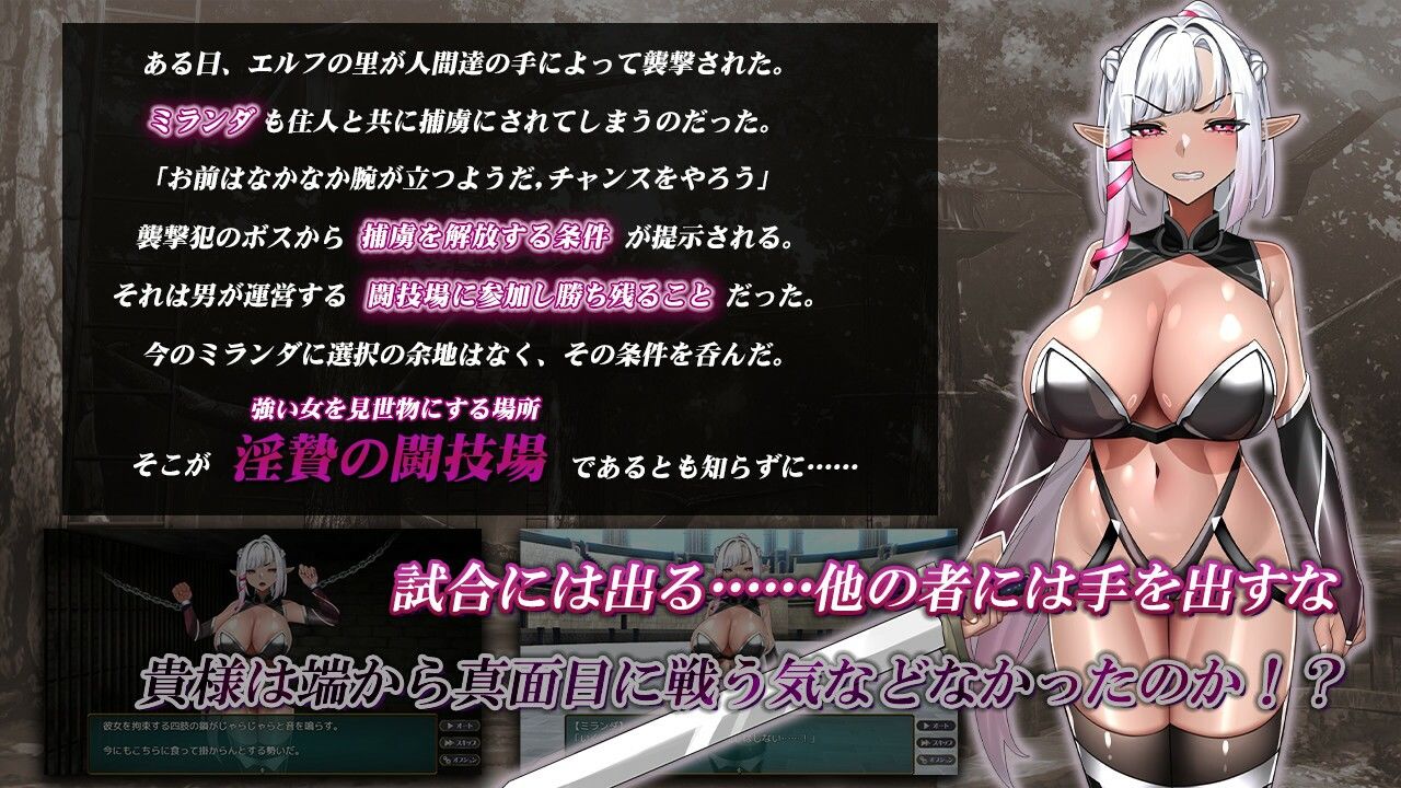 淫贄（いけにえ）の闘技場 -ダークエルフの剣士ミランダ- - サンプル画像 2