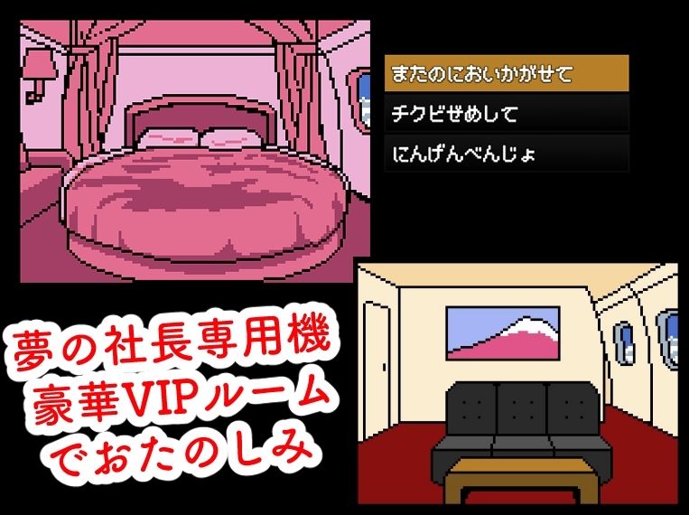 MAN国際航空〜ノーパン客室乗務員【FANZA審査対応・規制強化版】 - サンプル画像 2