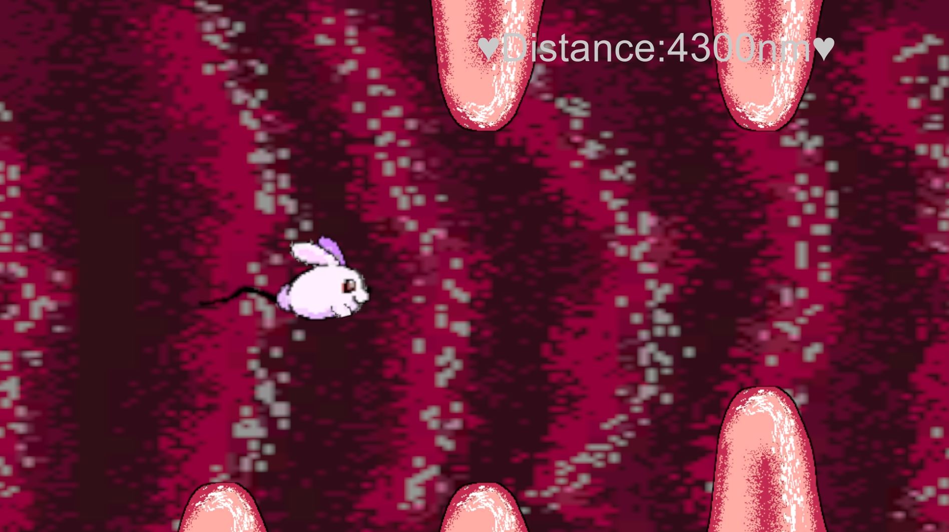 泳げウサギ - サンプル画像 1