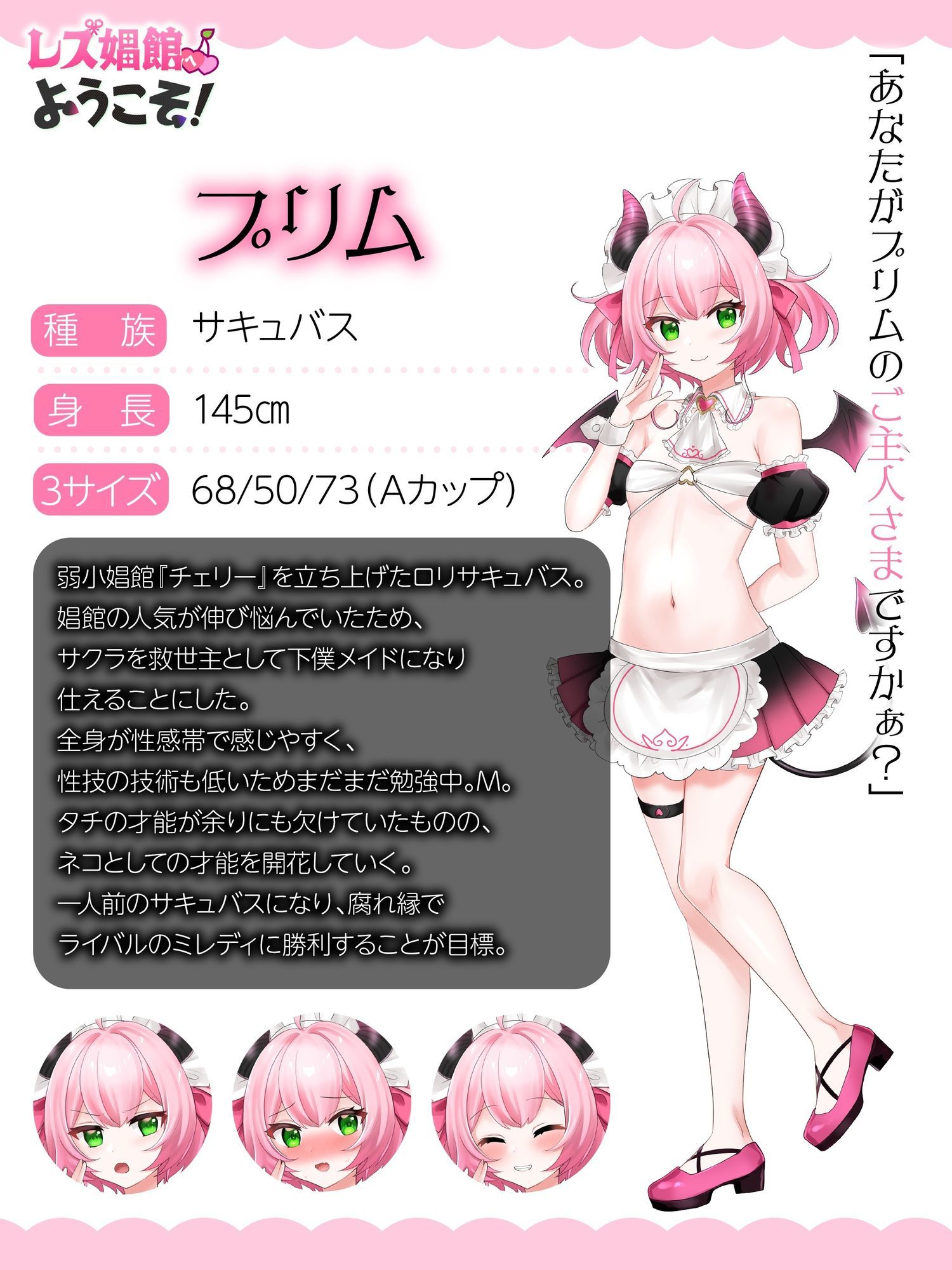 レズ娼館へようこそ！ - サンプル画像 3