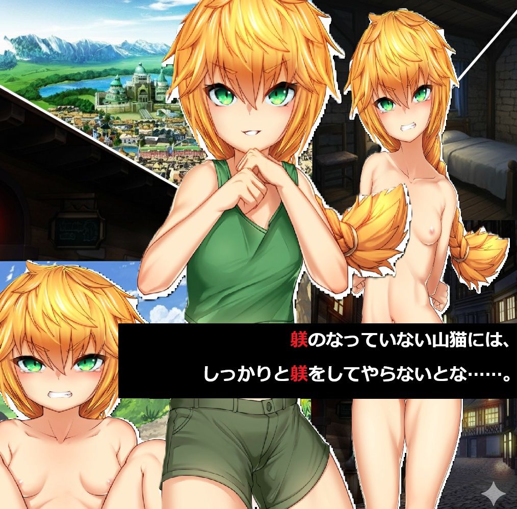 Battle with the wildcats - サンプル画像 1