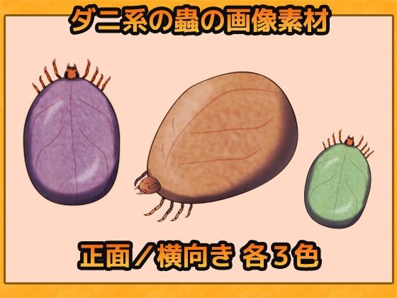蟲（ダニ系） 画像素材〜商用OK著作権フリー - サンプル画像 1