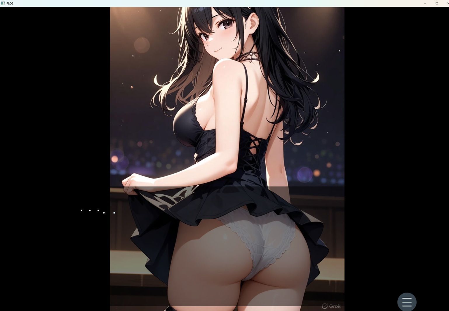 PLO2 - サンプル画像 1