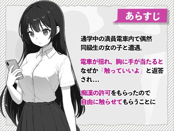 快感線直通 おさわりJK痴〇電車 - サンプル画像 3