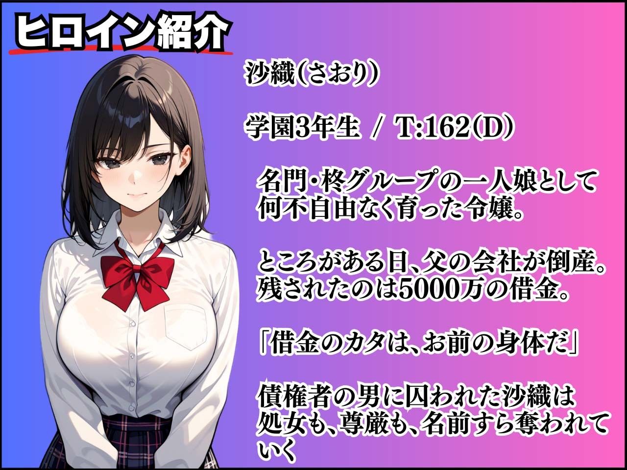 没落令嬢の代償 〜処女、借金のカタにいただきます〜 - サンプル画像 2