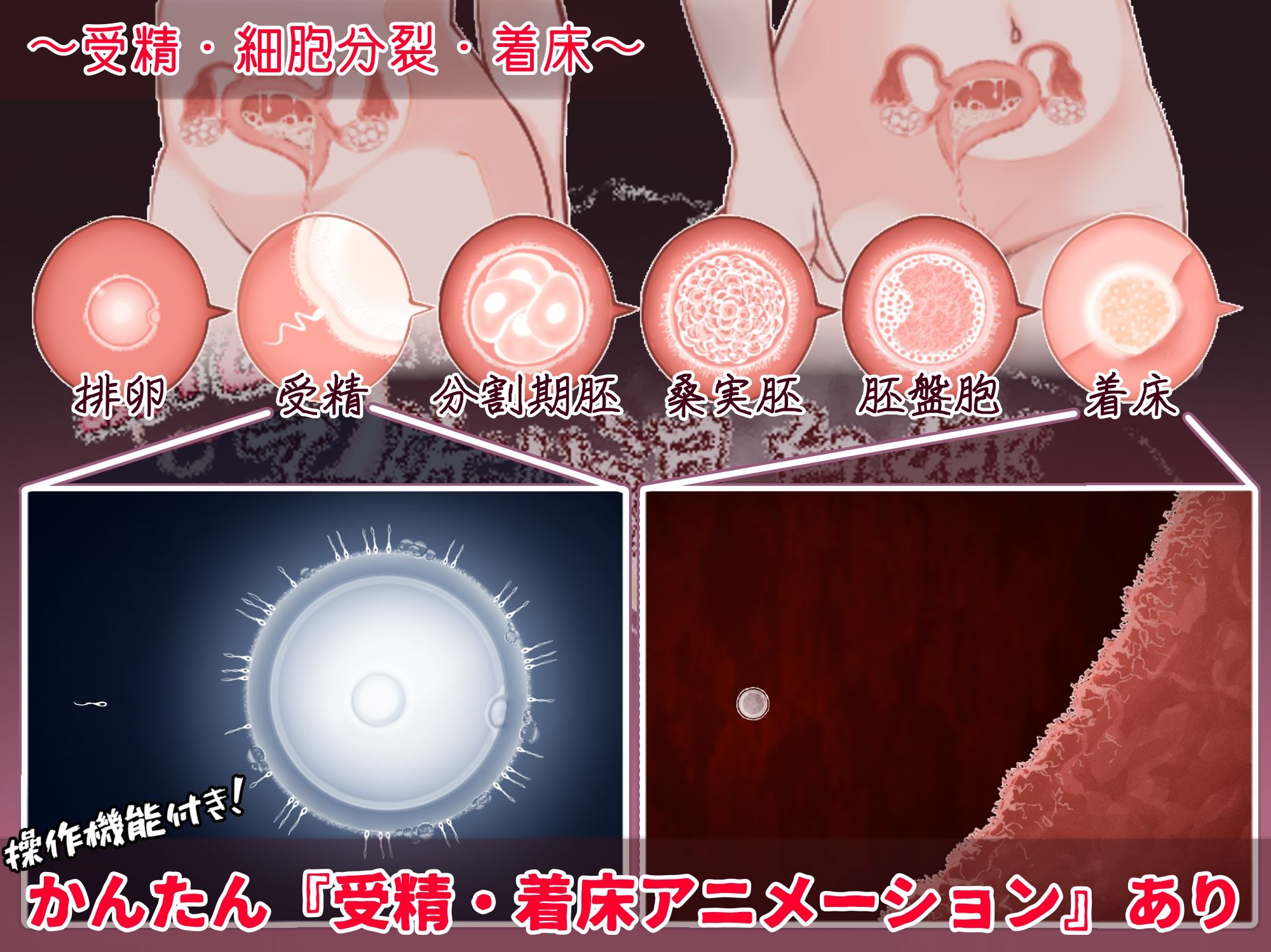 おいでませ！子作り温泉郷 - サンプル画像 4