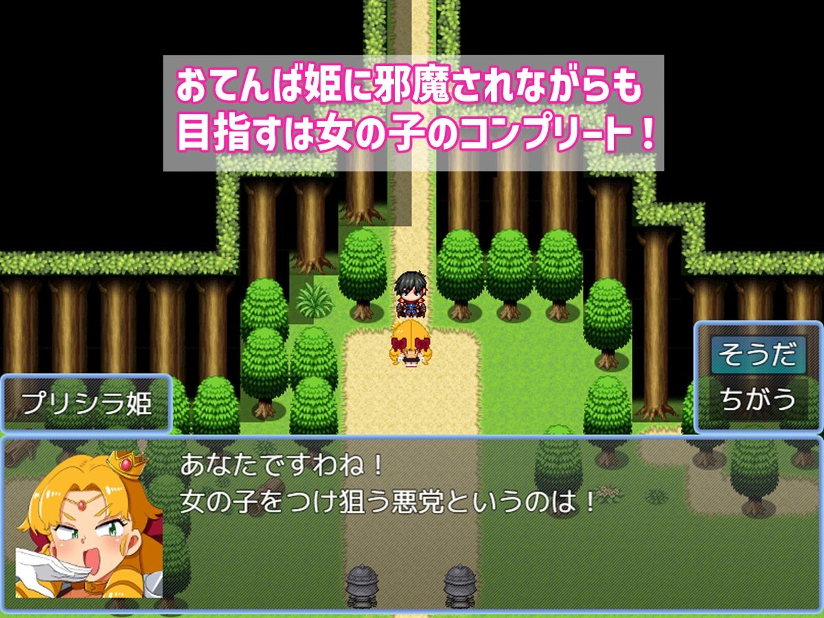 バトルに勝ったら即エッチ〜バトルファックRPG〜 - サンプル画像 4