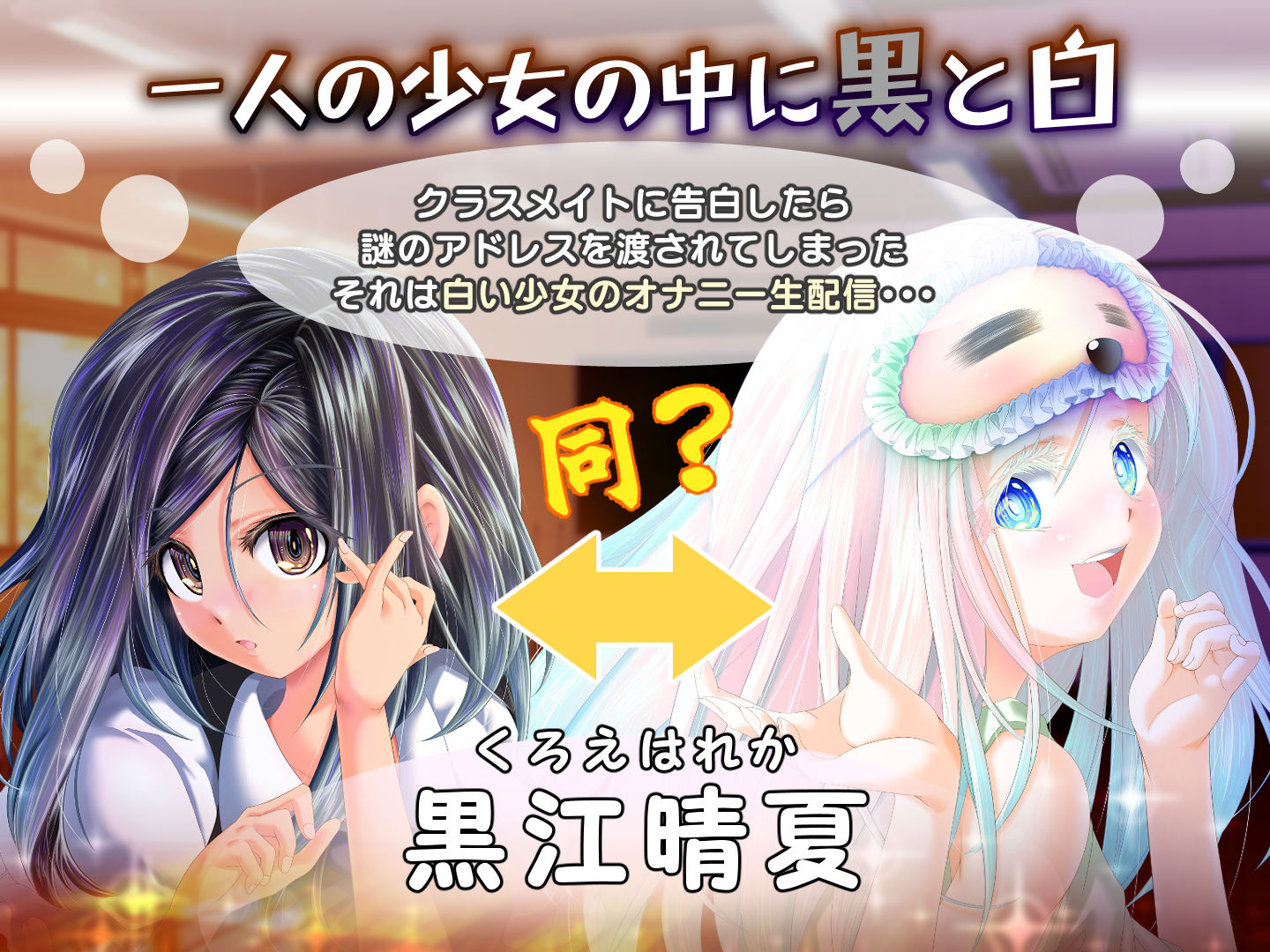 夕暮れまぐれの黒と白 - サンプル画像 1