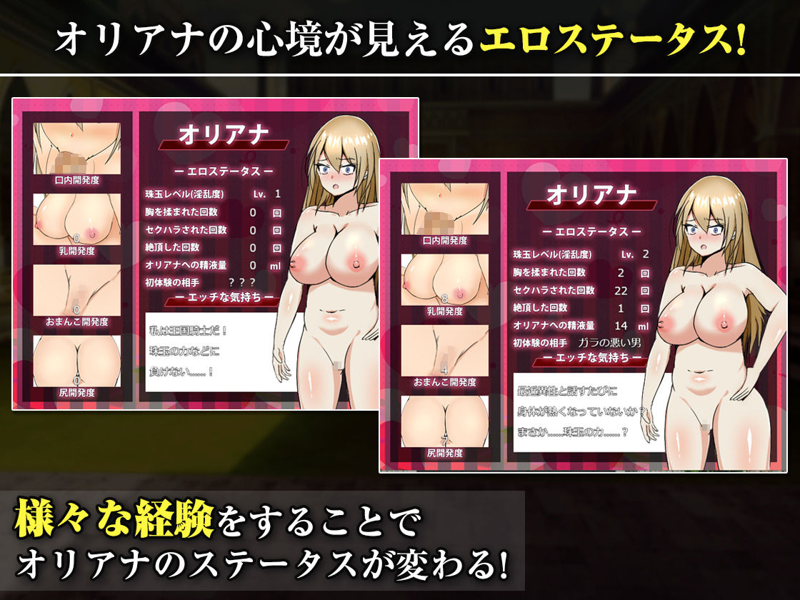 王国の勇騎士オリアナ - サンプル画像 5