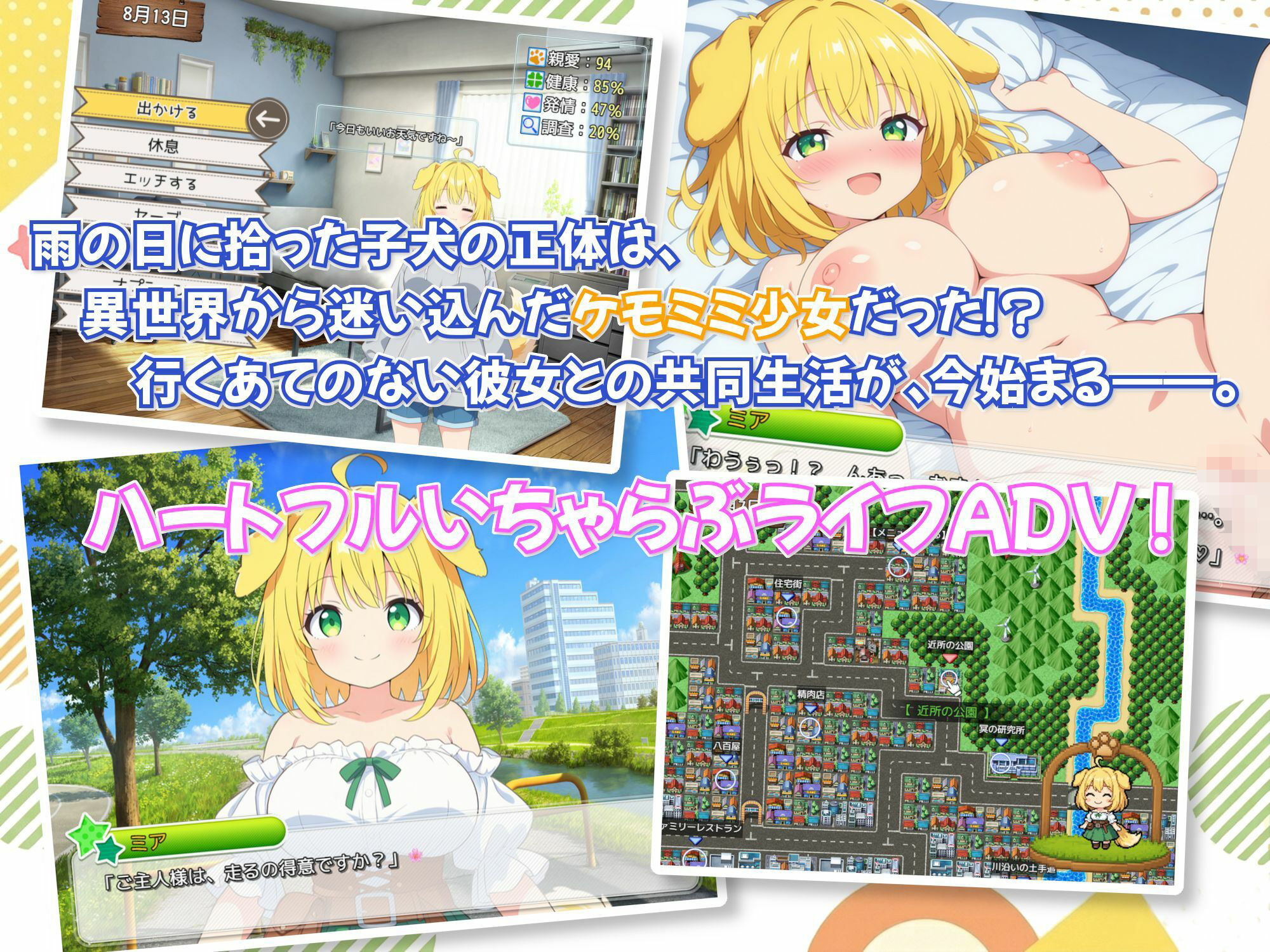ケモミミの女の子、拾いました！ - サンプル画像 1