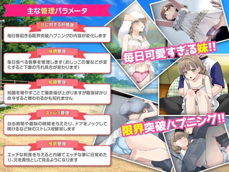 いもしむ  お兄ちゃん監修！妹育成シミュレーター - サンプル画像 3