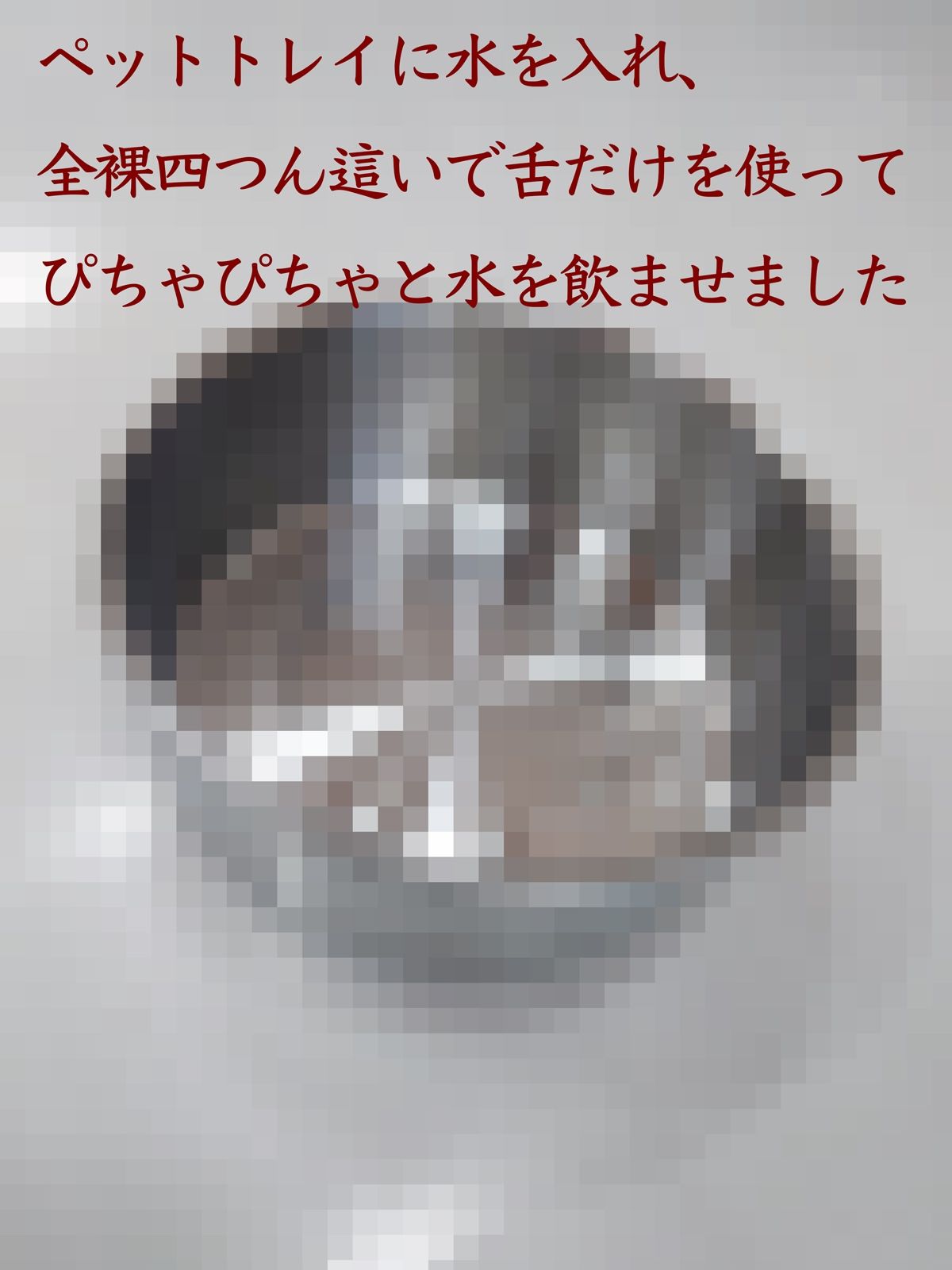 全裸四つん這いでペットトレイから舌だけを使って水飲み〜ペットトレイに放尿しながら絶頂オナニー（レナの調教記録〜002） - サンプル画像 1
