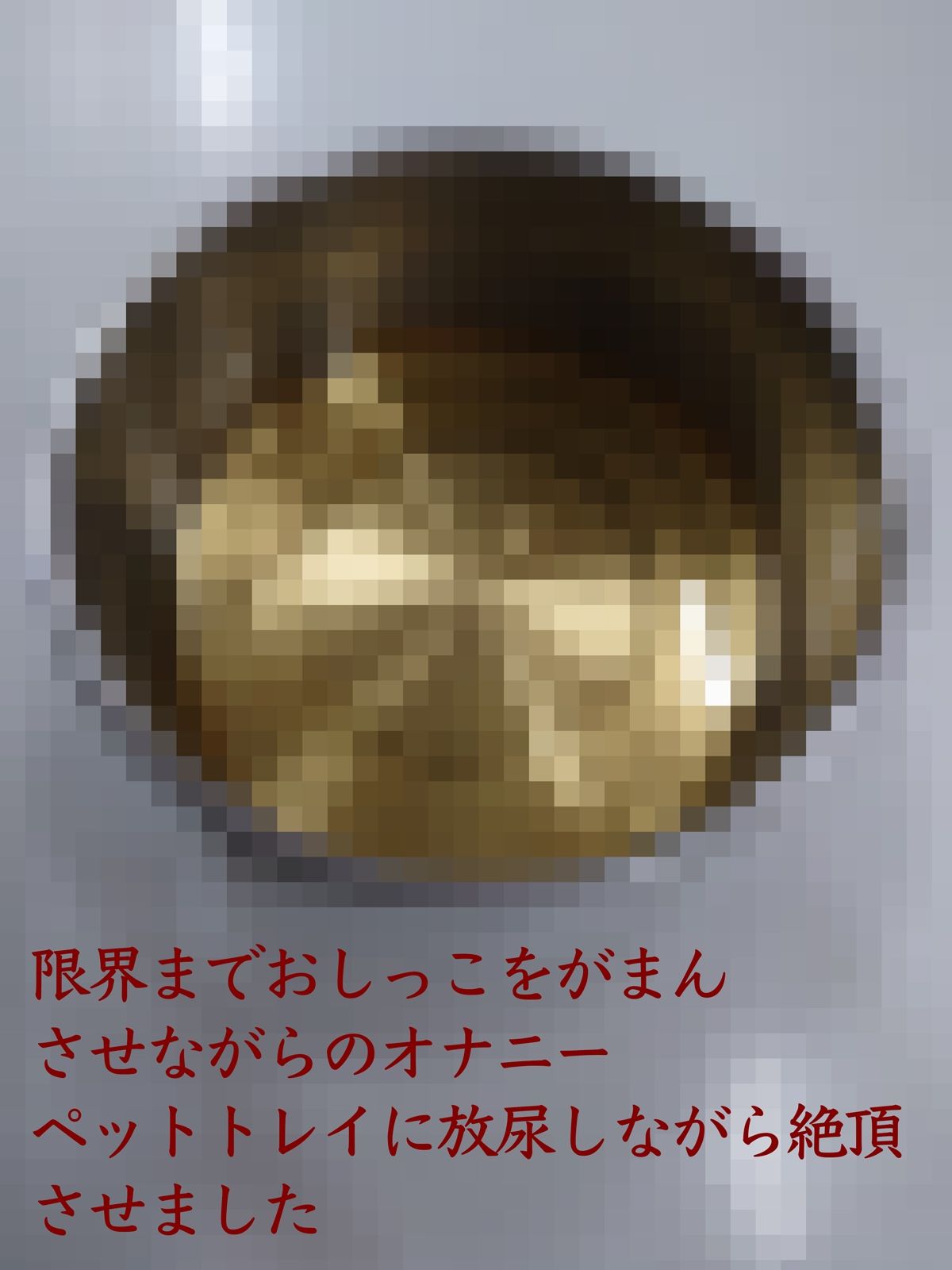 全裸四つん這いでペットトレイから舌だけを使って水飲み〜ペットトレイに放尿しながら絶頂オナニー（レナの調教記録〜002） - サンプル画像 2