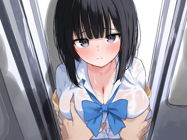 【声我慢×オホ声】電車でおとなしい巨乳JKに痴●する - サンプル画像 1