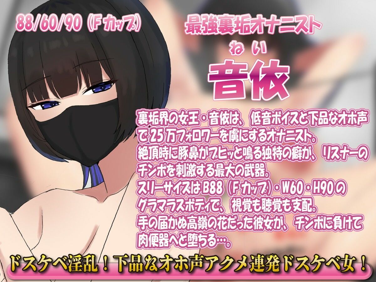 【豚鼻ブヒ堕ち】フォロワー脳破壊！手の届かぬオナニスト裏垢女子が突然オフパコ動画公開！調教交尾肉便器堕ち - サンプル画像 3
