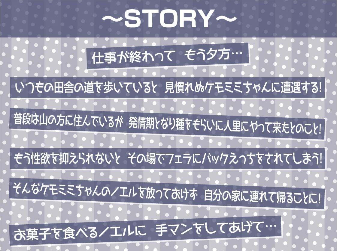 無口ケモミミちゃんと繁殖交尾【フォーリーサウンド】 - サンプル画像 3