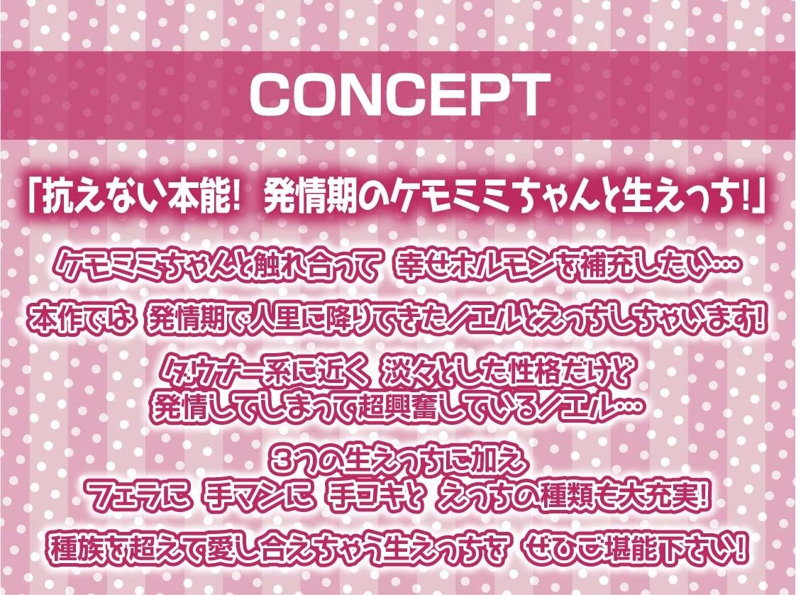 無口ケモミミちゃんと繁殖交尾【フォーリーサウンド】 - サンプル画像 4