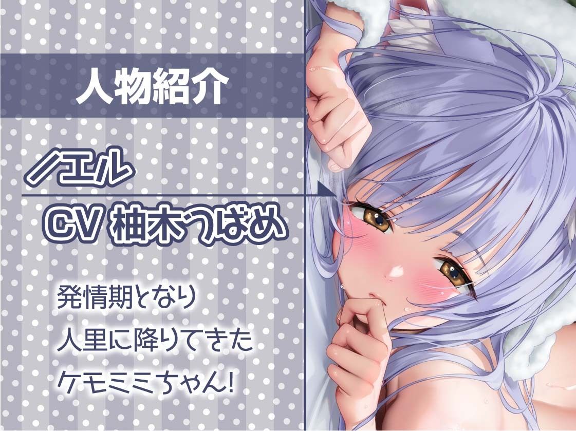 無口ケモミミちゃんと繁殖交尾【フォーリーサウンド】 - サンプル画像 5