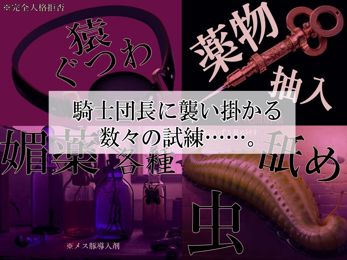 高潔女騎士団長、無様なる陥落！ 男前→メス豚化ッ！！ - サンプル画像 3