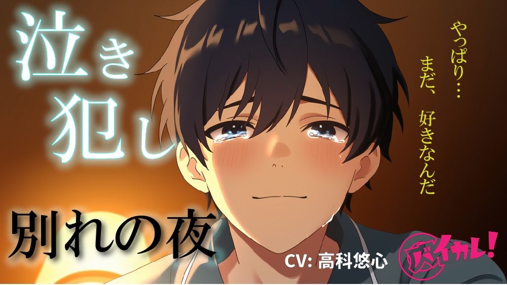 泣き犯し〜 同棲解除日記 ― 最後の夜、僕たちは涙を流しながら身体を重ねた 〜 ASMR/バイノーラル/泣きエッチ/カップル/日常/別れ/感動/あまあま/中出し - サンプル画像 1