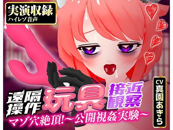 【実演収録】遠隔操作玩具接近観察☆マゾ穴絶頂！〜公開視姦〜【真園あきら/ハイレゾ音声】