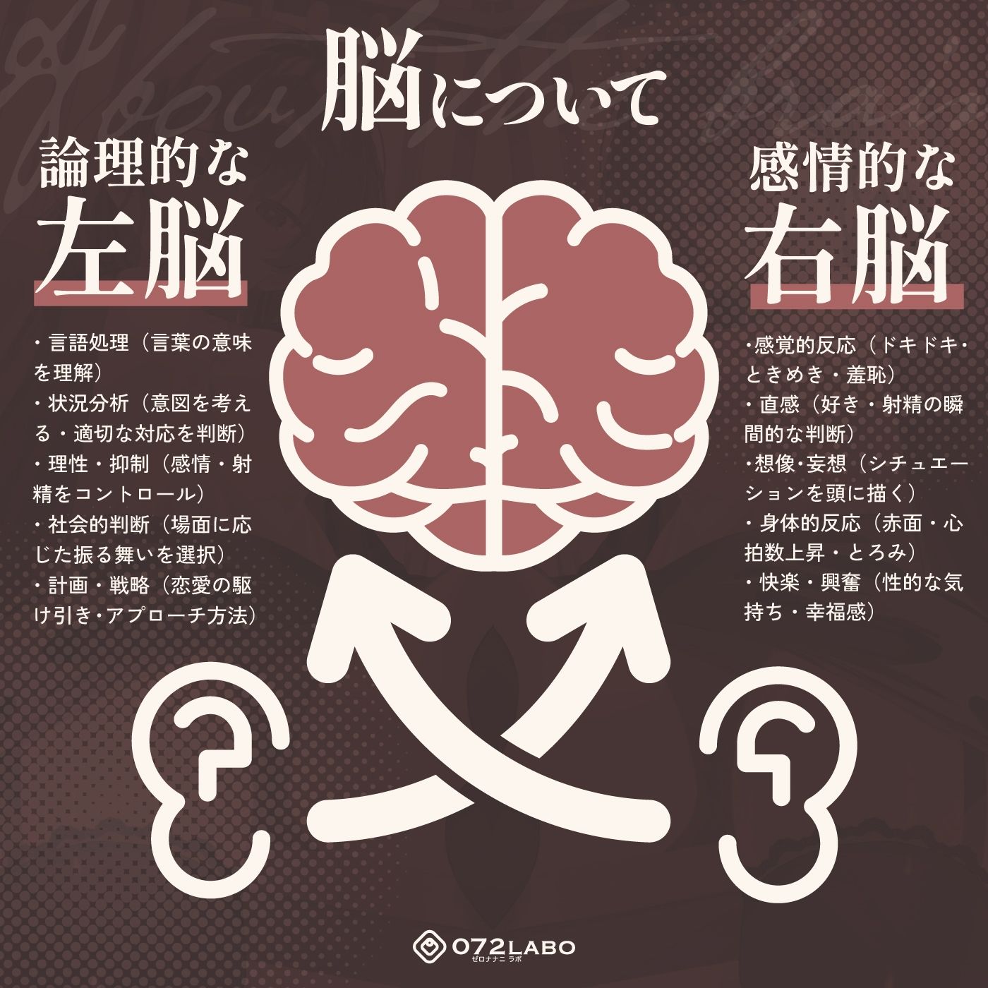 【脳バグ】命令の右耳とドスケベ本心が聞こえる左耳「右耳左耳右脳左脳」〜とても厳しい射精管理官★低音ボイスお姉さんの本音〜【射精管理官の本音】 - サンプル画像 3