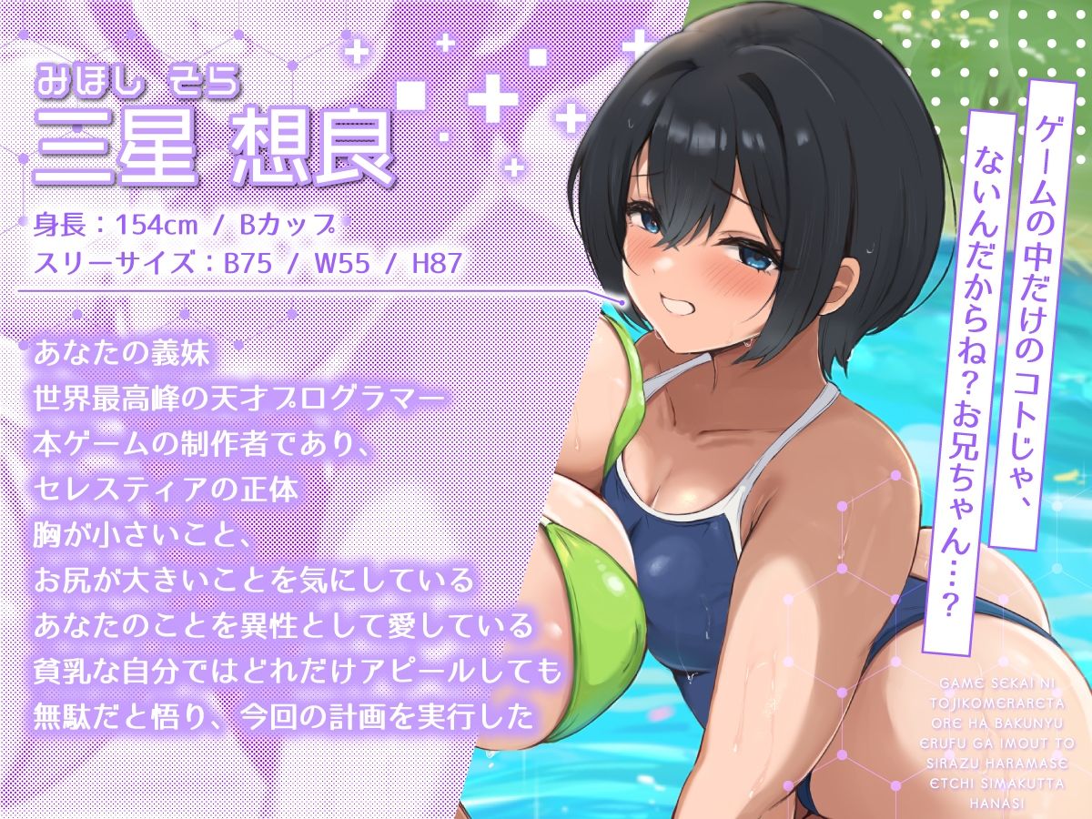 【2時間40分】ゲーム世界に閉じ込められた俺は爆乳エルフが妹と知らず孕ませエッチしまくった話【バイノーラル/兄妹/ファンタジー】 - サンプル画像 4