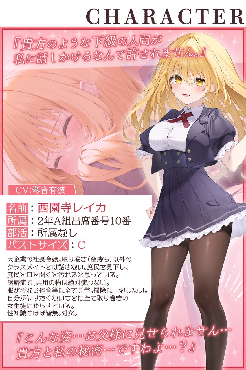 催●パラドックスー僕を受け入れないお嬢様ー【参考台本同梱/KU100】 - サンプル画像 4