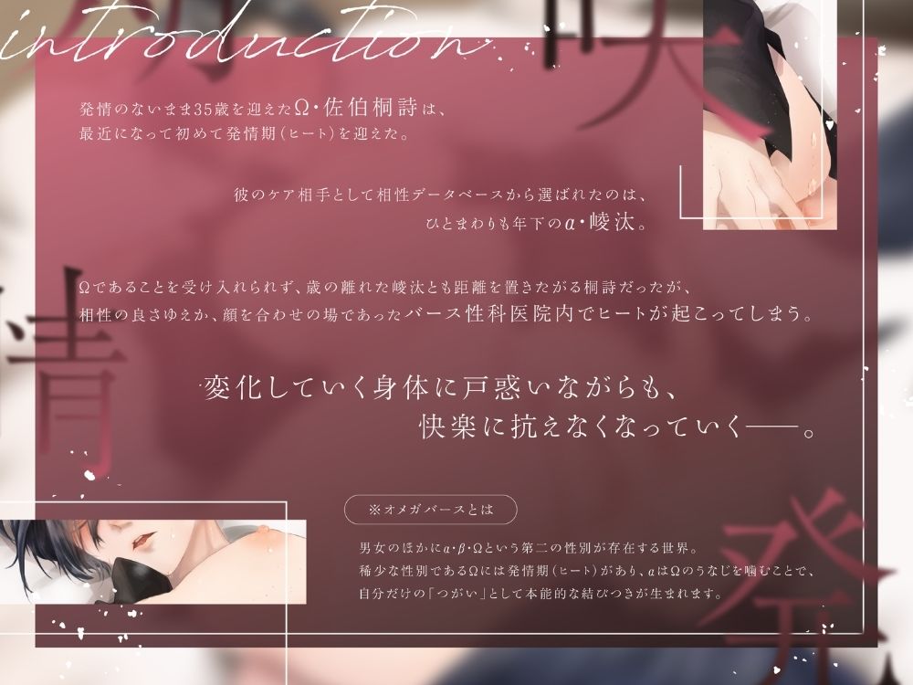 BL受け/ボイスドラマ『遅咲きΩの即堕ち発情期』【出演:霞一恵】 - サンプル画像 3