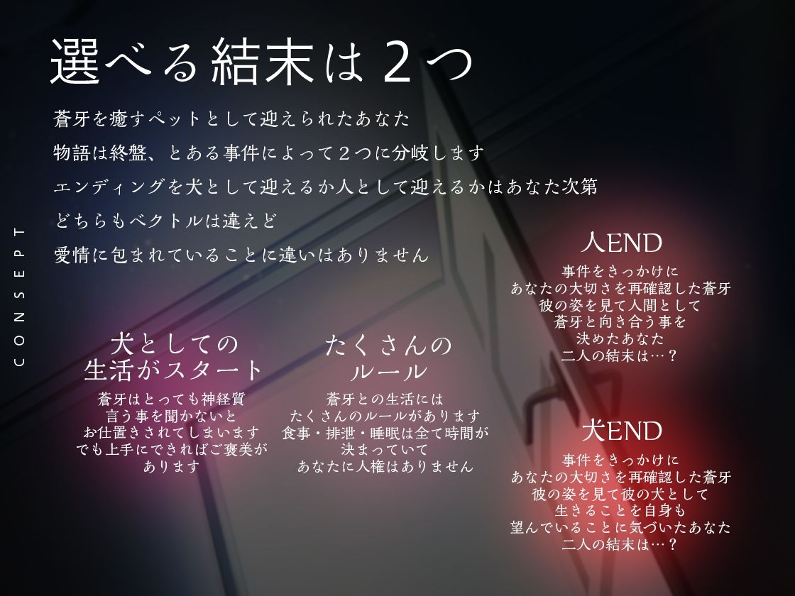 【ポチ呼び】君を飼う日〜可愛く鳴けたらご褒美あげる〜【選べるエンディング】 - サンプル画像 3