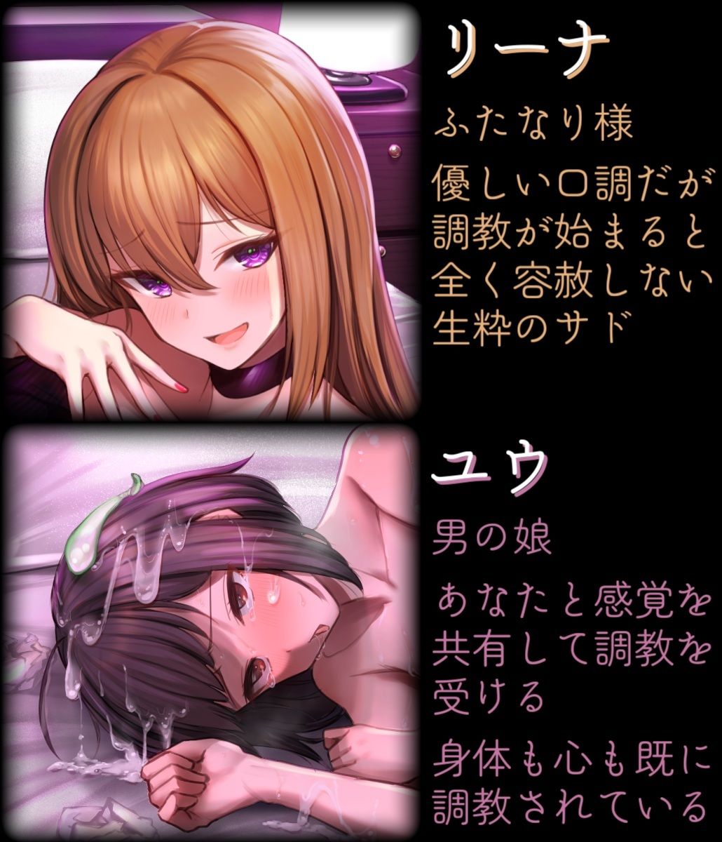 マゾメス前立腺完全敗北 ふたなりチンポで徹底調教される催●音声 - サンプル画像 2