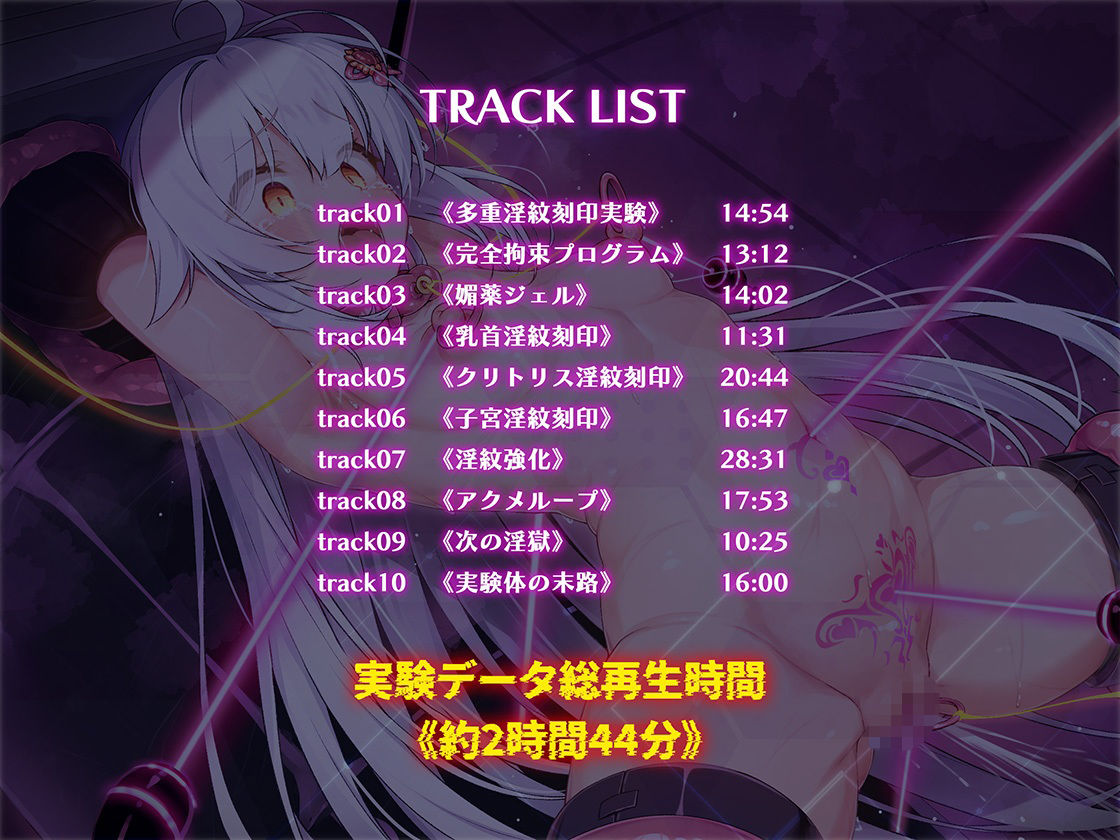 絶対服従プログラムVI  実験体4098  〜多重淫紋刻印実験〜 - サンプル画像 3
