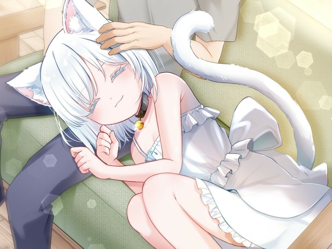 【1時間30分/バイノーラル】しろねこ娘のバニラちゃんは命の恩人のあなたを癒したい【癒し/けもみみ】 - サンプル画像 4