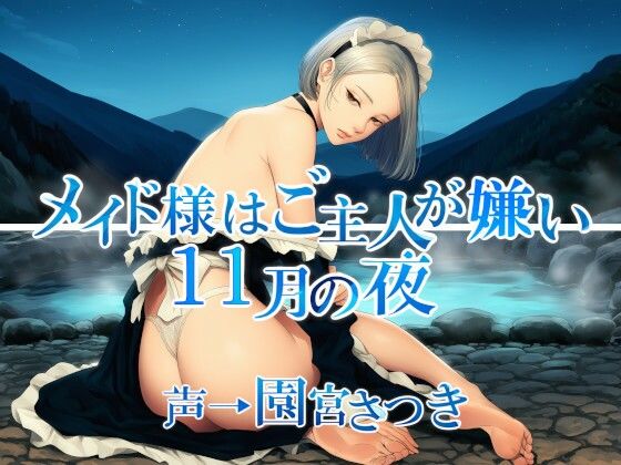 メイド様はご主人が嫌い  11月の夜