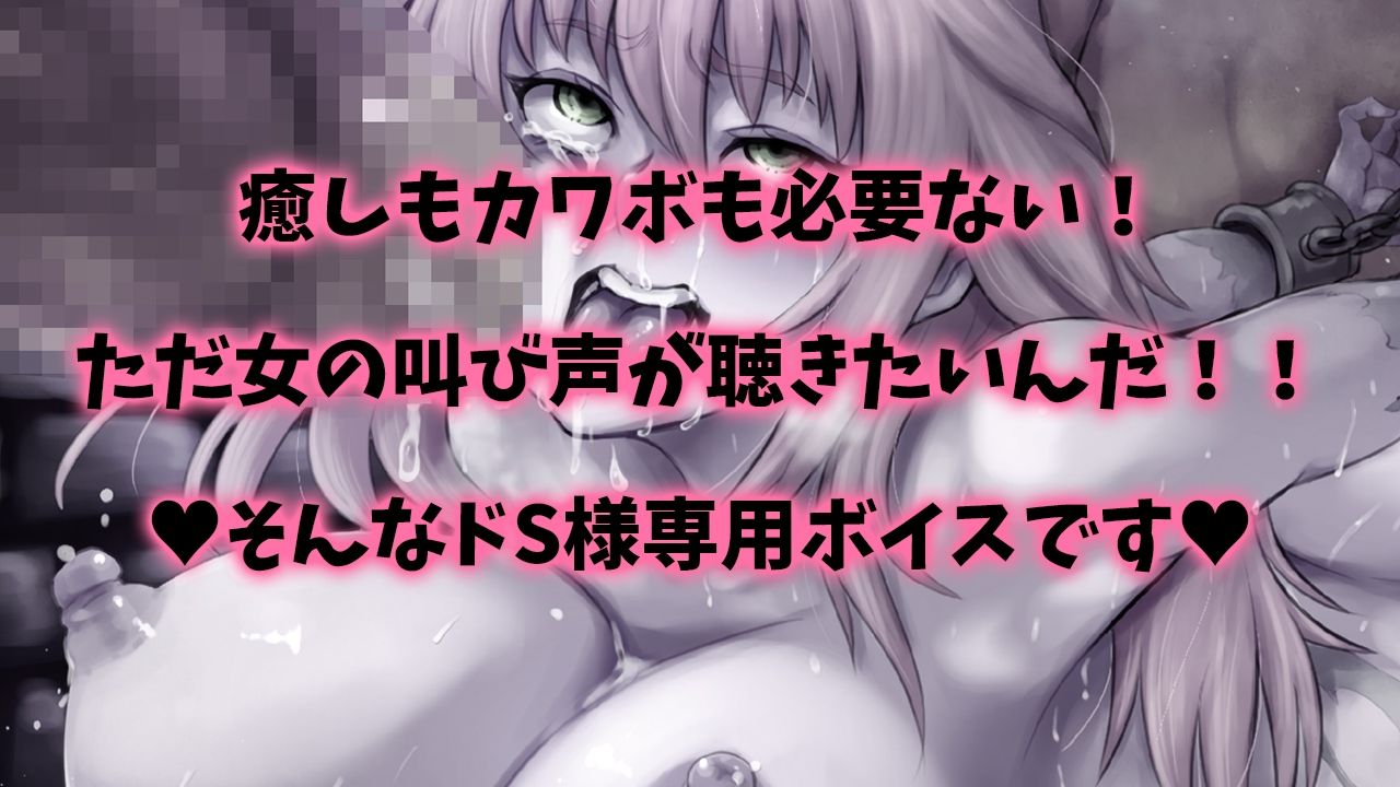 【精神崩壊オホ声絶叫】女騎士！オークちんぽに無様敗北！！〜異種間レ●プ！マンコ破壊・肛門性交・オホ声・怪声〜【早期購入でDM特典付き♪】 - サンプル画像 1