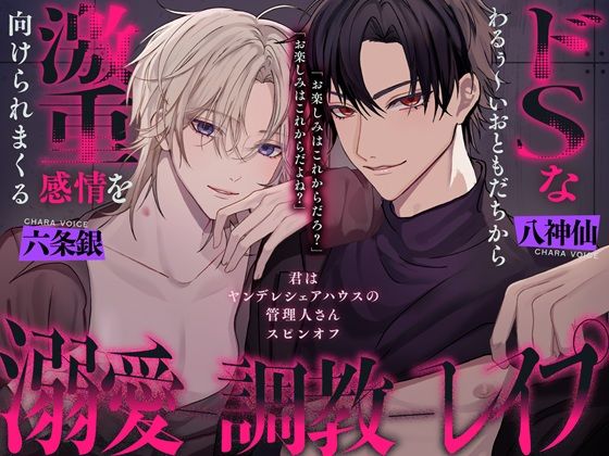 わるぅ〜いお兄さん達から激ヤバ感情を向けられる溺愛絶倫レ●プ〜君はヤンデレシェアハウスの管理人さんスピンオフ〜